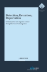 Image for Detection, Detention, Deportation : Criminal justice and migration control through the lens of crimmigration