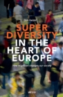 Image for Superdiversity in the heart of Europe