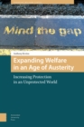 Image for Expanding Welfare in an Age of Austerity