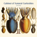 Image for CABINET OF NATURAL CURIOSITIES 2019 CALE