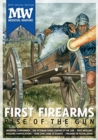 Image for First firearms  : rise of the gun
