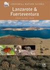 Image for Lanzarote and Fuerteventura : Spain