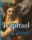 Image for Raphael in Detail
