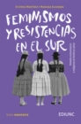 Image for Feminismos y resistencias en el Sur : Debates comunitarios e indigenas en America Latina: Debates comunitarios e indigenas en America Latina