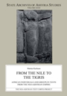 Image for From the Nile to the Tigris  : African individuals and groups in texts from the Neo-Assyrian Empire