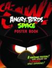 Image for Angry Birds Space Poster Pack