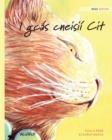 Image for I gcas cneisii Cit : Irish Edition of The Healer Cat