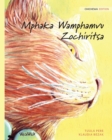 Image for Mphaka Wamphamvu Zochiritsa : Chicheva Edition of The Healer Cat