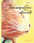 Image for The Healer Cat (Burmese)