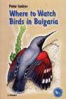 Image for WHERE TO WATCH BIRDS IN BULGARIA
