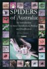 Image for Spiders of Australia : An Introduction to Their Classification, Biology and Distribution