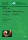 Image for Atlas of the millipedes (diplopoda) of Britain and Ireland