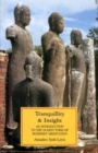 Image for Tranquility and Insight : Introduction to the Oldest Form of Buddhist Meditation