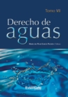 Image for Derecho De Aguas Tomo VII