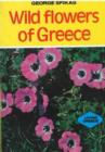 Image for Wild Flowers of Greece