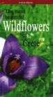 Image for The Most Beautiful Wildflowers of Crete