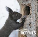 Image for How They Live... Rodents: Learn All There Is to Know About These Animals!