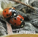 Image for How They Live... Ladybirds: Learn All There Is to Know About These Animals!