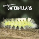 Image for How They Live... Caterpillars: Learn All There Is to Know About These Animals!