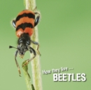Image for How They Live... Beetles: Learn All There Is to Know About These Animals!