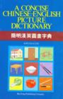 Image for A Concise Chinese-English Picture Dictionary