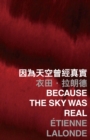 Image for Because the sky was real