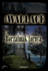 Image for Borzalmak tornya