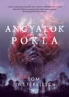 Image for Angyalok pokla