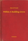 Image for Within A Budding Grove