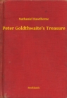 Image for Peter Goldthwaite&#39;s Treasure