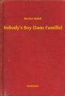Image for Nobody&#39;s Boy (Sans Famille)