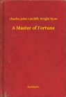 Image for Master of Fortune