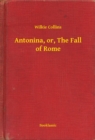 Image for Antonina, or, The Fall of Rome