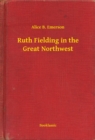 Image for Ruth Fielding in the Great Northwest