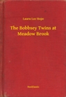 Image for Bobbsey Twins at Meadow Brook