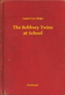 Image for Bobbsey Twins at School