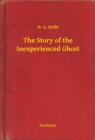 Image for Story of the Inexperienced Ghost
