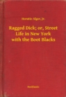 Image for Ragged Dick; or, Street Life in New York with the Boot Blacks