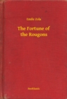 Image for Fortune of the Rougons