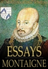 Image for Essays: Volume 18