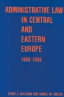 Image for Administrative Law in Central and Eastern Europe