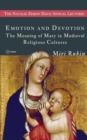 Image for Emotion and Devotion : The Meaning of Mary in Medieval Religious Cultures