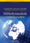 Image for virtualis ter geopolitikaja - Geopolitics of the Virtual Space: Tanulmanykotet.