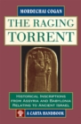 Image for The Raging Torrent