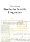 Image for Studies in Semitic Linguistics
