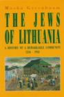Image for Jews of Lithuania: A History of a Remarkable Community 1316-1945