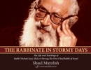 Image for Rabbinate in Stormy Days
