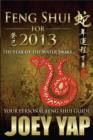 Image for Feng Shui for 2013