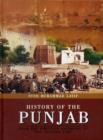 Image for History of the Punjab