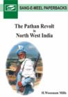 Image for The Pathan Revolt in North West India